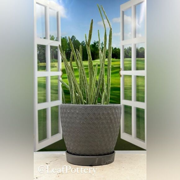 Atasi Gray Concrete Planter Pot with Saucer Attached - Picture 1 of 11